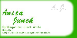 anita junek business card